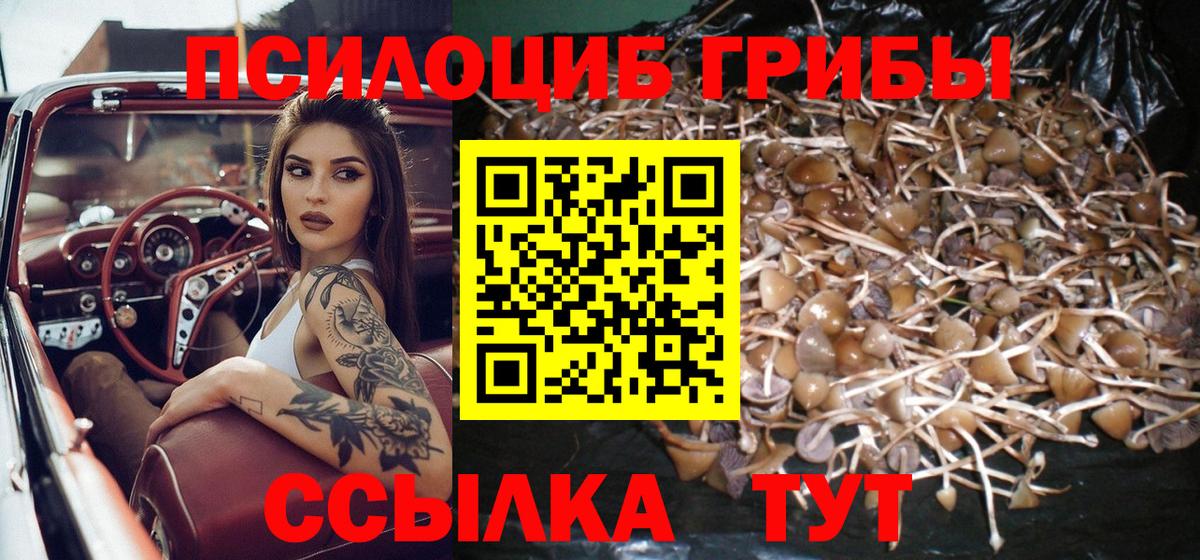 Галлюциногенные грибы Magic Shrooms Пыть-Ях